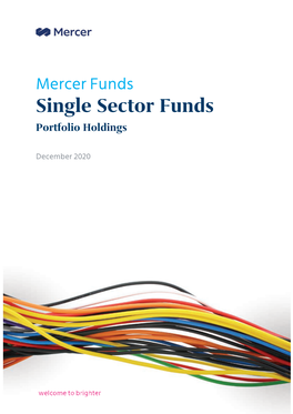 Single Sector Funds Portfolio Holdings