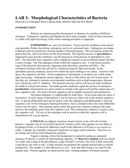 LAB 3: Morphological Characteristics of Bacteria Protocols for Endospore Stain, Capsule Stain, Motility Stab and Wet Mount