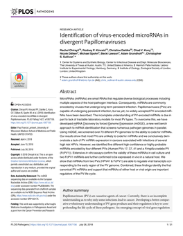 Identification of Virus-Encoded Micrornas in Divergent Papillomaviruses