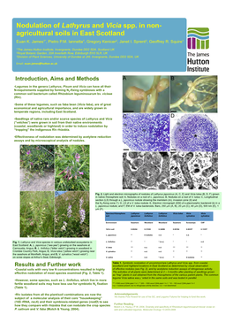 Nodulation of Lathyrus and Vicia Spp. in Non- Agricultural Soils in East Scotland Euan K