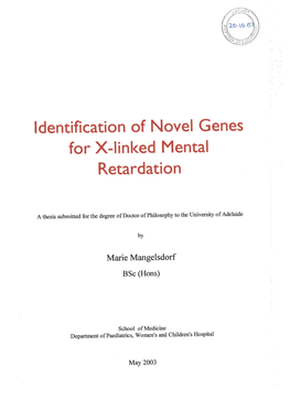 Identification of Novel Genes for X-Linked Mental Retardation