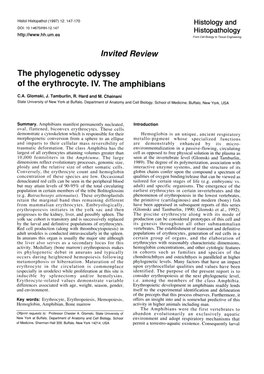 Invited Review the Phylogenetic Odyssey of the Erythrocyte. IV. The