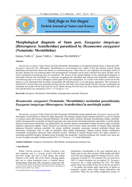 Morphological Diagnosis of Sunn Pest, Eurygaster Integriceps (Heteroptera: Scutelleridae) Parasitized by Hexamermis Eurygasteri (Nematoda: Mermithidae)