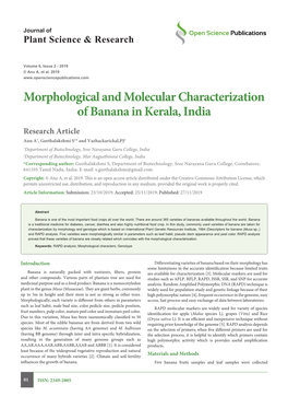 Morphological and Molecular Characterization of Banana in Kerala, India