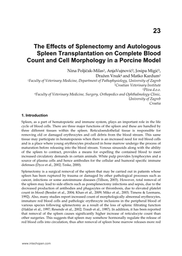 The Effects of Splenectomy and Autologous Spleen Transplantation on Complete Blood Count and Cell Morphology in a Porcine Model