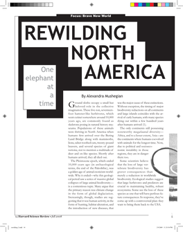 Rewilding North America Set Aside to Become the Would See the Introduction of Giant Introduction of Giant Wilderness Again