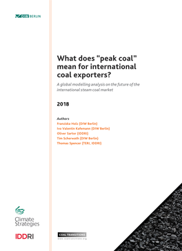 “Peak Coal” Mean for International Coal Exporters? a Global Modelling Analysis on the Future of the International Steam Coal Market