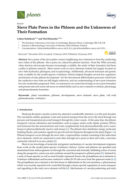 Sieve Plate Pores in the Phloem and the Unknowns of Their Formation