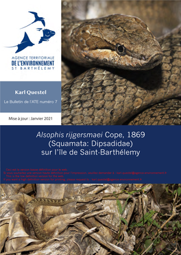 Alsophis Rijgersmaei Cope, 1869 (Squamata: Dipsadidae) Sur L'île De