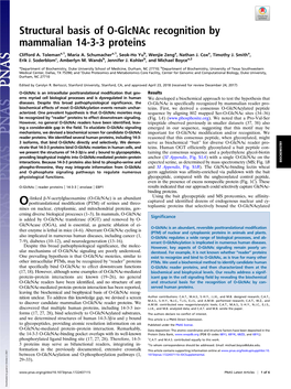 Structural Basis of O-Glcnac Recognition by Mammalian 14-3-3 Proteins