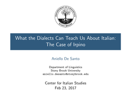 What the Dialects Can Teach Us About Italian: the Case of Irpino