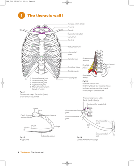 1 the Thoracic Wall I