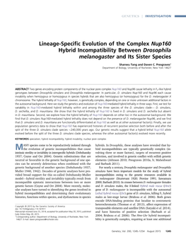 Lineage-Specific Evolution of the Complex Nup160 Hybrid