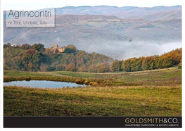 Agrincontri Nr Todi, Umbria, Italy Il Torrone