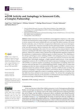 Mtor Activity and Autophagy in Senescent Cells, a Complex Partnership