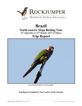 Brazil North-Eastern Mega Birding Tour 21St September to 12Th October 2017 (22 Days) Trip Report