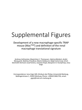Supplemental Figures