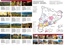 Catalonia, Twelve Wine-Themed Dos Catalogne, Douze AO Aromatisées Au Vin