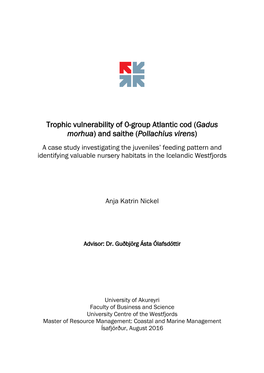 And Saithe (Pollachius Virens) a Case Study Investigating the Juveniles’ Feeding Pattern and Identifying Valuable Nursery Habitats in the Icelandic Westfjords