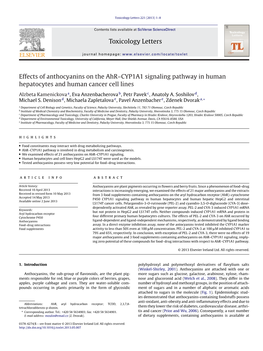 Effects of Anthocyanins on the Ahr–CYP1A1 Signaling Pathway in Human