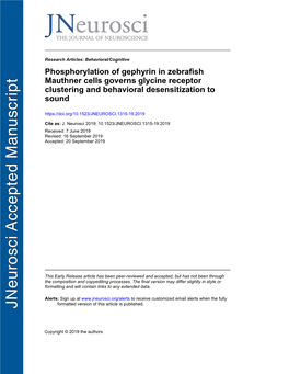 Phosphorylation of Gephyrin in Zebrafish Mauthner Cells Governs