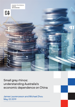 Small Grey Rhinos: Understanding Australia's Economic Dependence