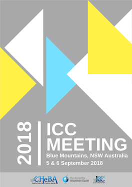 ICC Meeting 2018