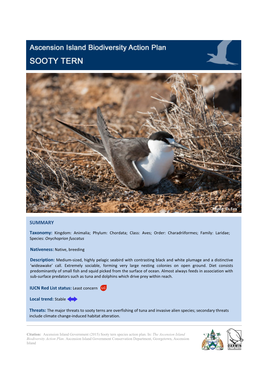 SOOTY-TERN-SAP-Edited