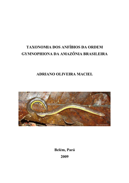 Taxonomia Dos Anfíbios Da Ordem Gymnophiona Da Amazônia Brasileira