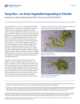 Tong Hao—An Asian Vegetable Expanding in Florida1 Guodong Liu, Qingren Wang, Bonnie Wells, Yuncong Li, and David Dinkins2