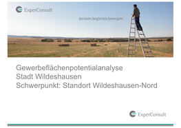 Gewerbeflächenpotentialanalyse Stadt Wildeshausen Schwerpunkt