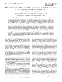 Molecular Structure of Wlbb, a Bacterial N-Acetyltransferase Involved in the Biosynthesis †,‡ of 2,3-Diacetamido-2,3-Dideoxy-D-Mannuronic Acid James B