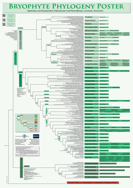 Mosses, Liverworts, Hornworts)