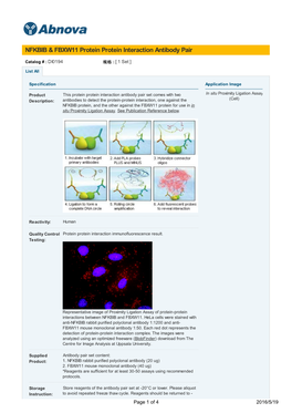 NFKBIB & FBXW11 Protein Protein Interaction Antibody Pair