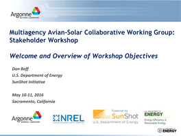 Avian Solar Conceptual Framework