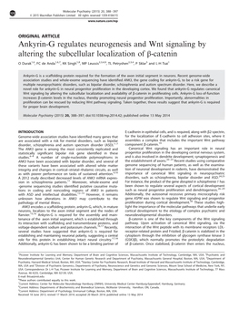 Ankyrin-G Regulates Neurogenesis and Wnt Signaling by Altering the Subcellular Localization of Β-Catenin