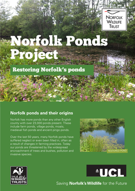 RESTORED POND Invasive Species