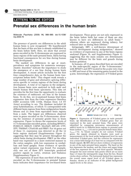 Prenatal Sex Differences in the Human Brain