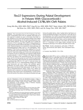 Tbx22 Expressions During Palatal Development in Fetuses with Glucocorticoid-/ Alcohol-Induced C57BL/6N Cleft Palates