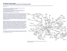 THE ORIGINS of TODAY's HORSES: PHYLOGENETIC NETWORK BASED on Mtdna ANALYSES PROVIDES ANSWERS