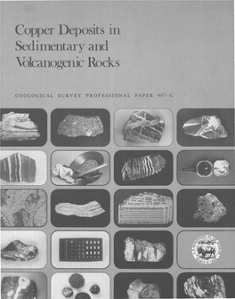 Copper Deposits in Sedimentary and Volcanogenic Rocks