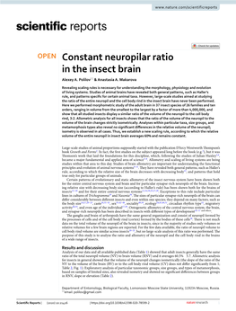 Constant Neuropilar Ratio in the Insect Brain Alexey A