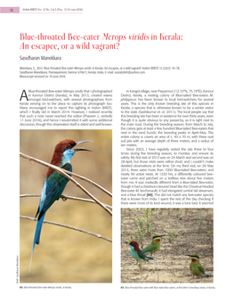 Blue-Throated Bee-Eater Merops Viridis in Kerala: an Escapee, Or a Wild Vagrant? Sasidharan Manekkara