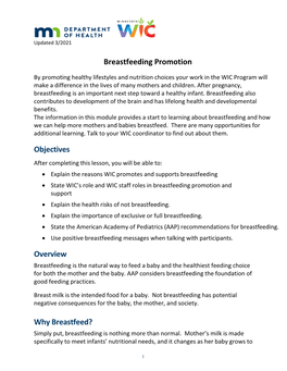 OVERVIEW of Breastfeeding Promotion