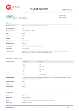 Anti-Glycophorin C Antibody (ARG41471)