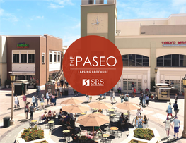Leasing Brochure the Paseo