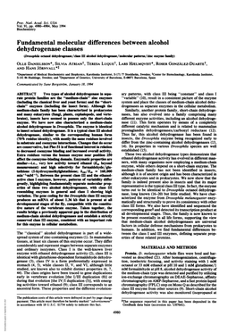 Dehydrogenase Classes