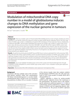 Modulation of Mitochondrial DNA Copy Number in a Model of Glioblastoma