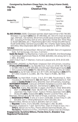 Chestnut Filly Barn 7 Hip No