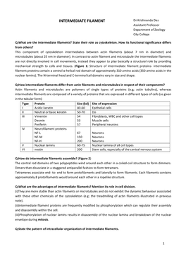 INTERMEDIATE FILAMENT Dr Krishnendu Das Assistant Professor Department of Zoology City College